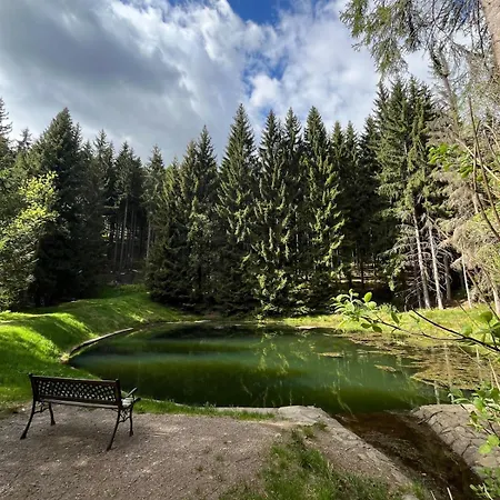 Zelena Pod Klinovcem * Jáchymov