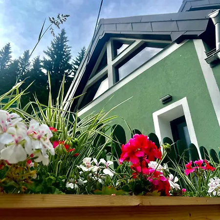 Zelena Pod Klinovcem Jáchymov